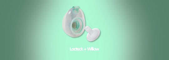 How to use the Babymotion Flange with willow
